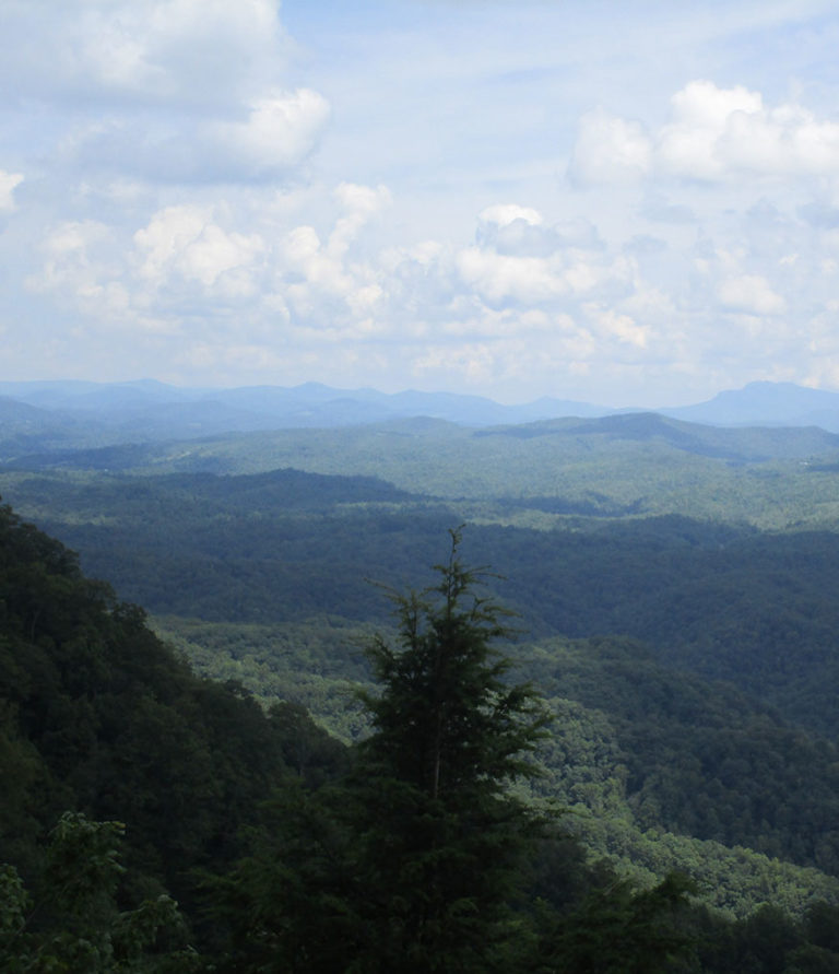 Dumpster Rental Waynesboro VA Dumpster on Wheels Rental